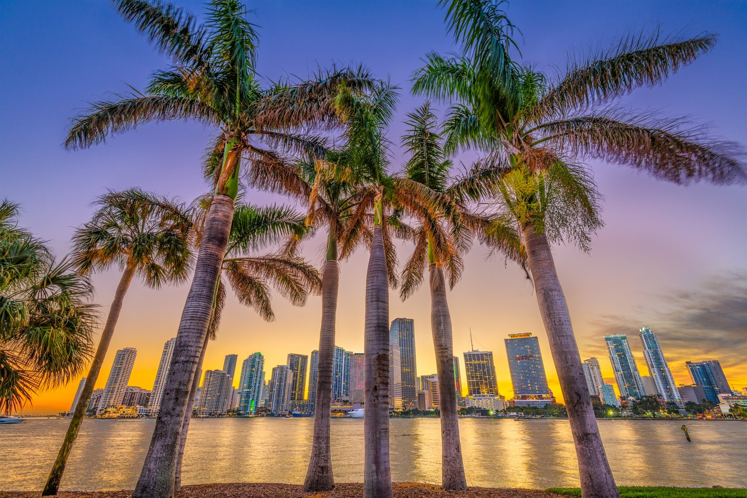 Miami, Florida, Coastal Skyline